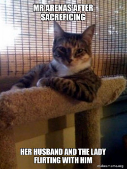 The Most Interesting Cat in the World