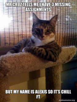 The Most Interesting Cat in the World