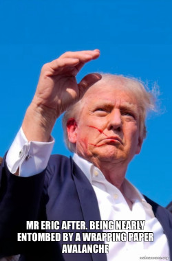 Trump Shot