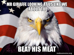 American Pride Eagle