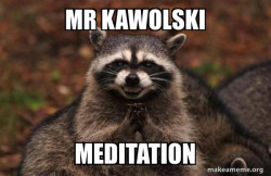 Evil Plotting Raccoon