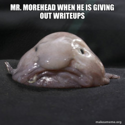 Blobfish