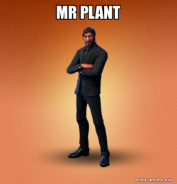 Fortnite The Reaper
