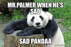 Confession Panda
