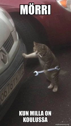 Mechanic Cat