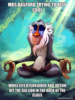 Rafiki Meditating - Lion King