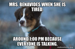 Unsure Dog