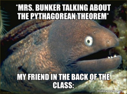 Bad Joke Eel