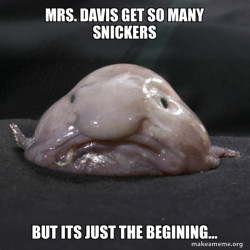 Blobfish