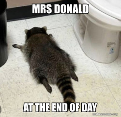 Drunk Raccoon