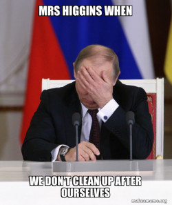 Putin Facepalm