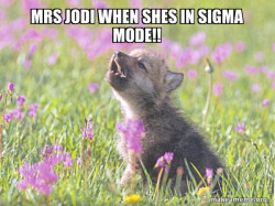 Baby Insanity Wolf