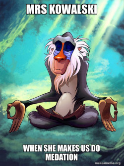 Rafiki Meditating - Lion King