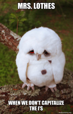 Sad Owl