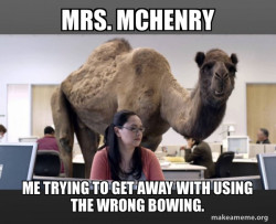 Hump Day Camel