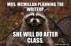 Evil Plotting Raccoon