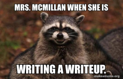 Evil Plotting Raccoon