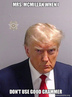 Donald Trump Mugshot