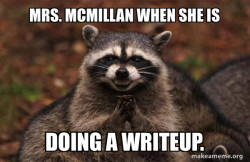 Evil Plotting Raccoon