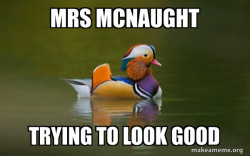 Fashionable Advice Mallard