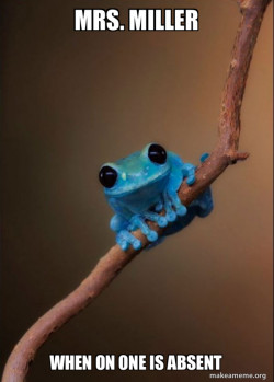 Small Fact Frog