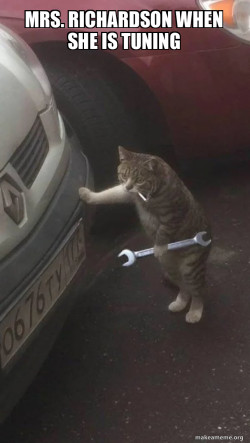 Mechanic Cat