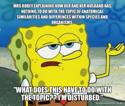 Tough SpongeBob