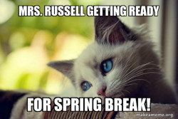 First World Cat Problems