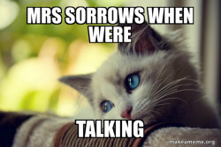 First World Cat Problems