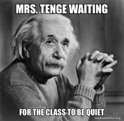 Serious Albert Einstein