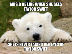Popular Opinion Bear