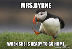 Unpopular Opinion Puffin