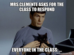 Spock and Cat Meme