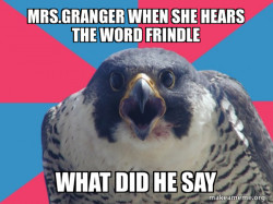 Millennial Falcon