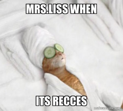 Pampered Cat Meme