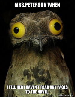 Weird Stuff I do Potoo