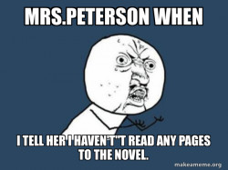 Y U No