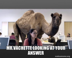Hump Day Camel