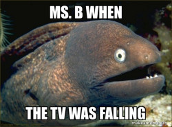 Bad Joke Eel