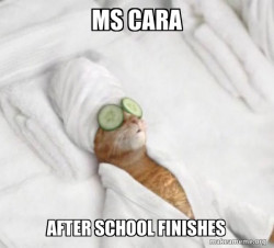 Pampered Cat Meme