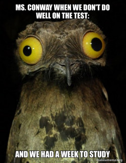 Weird Stuff I do Potoo