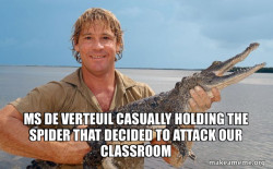 Steve irwin