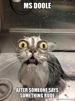 Cat bath