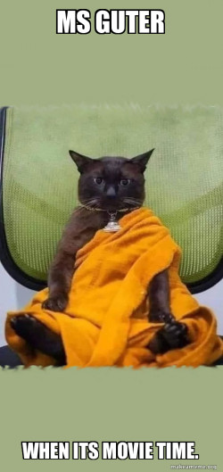Zen Cat