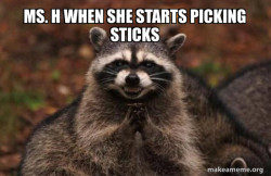 Evil Plotting Raccoon