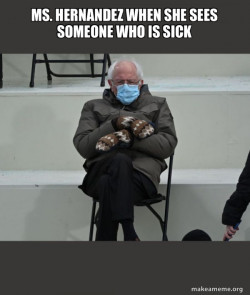 Bernie Sanders at the Inauguration