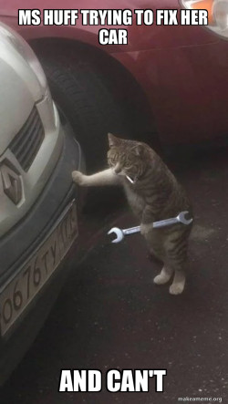 Mechanic Cat