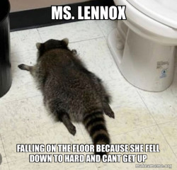 Drunk Raccoon