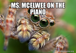 Hipster Spider
