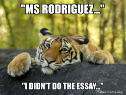 Confession Tiger